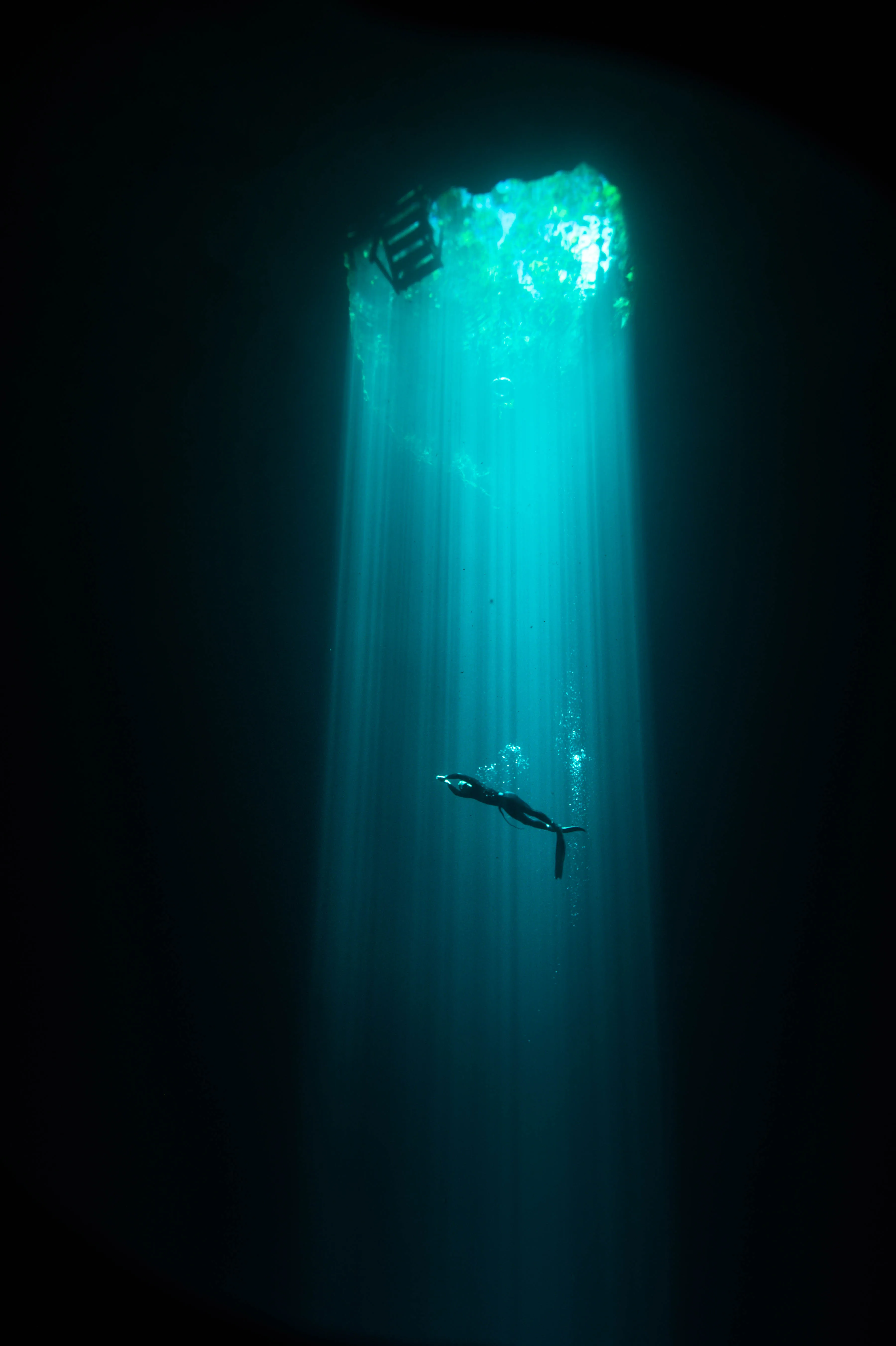 Free diving in Mexico