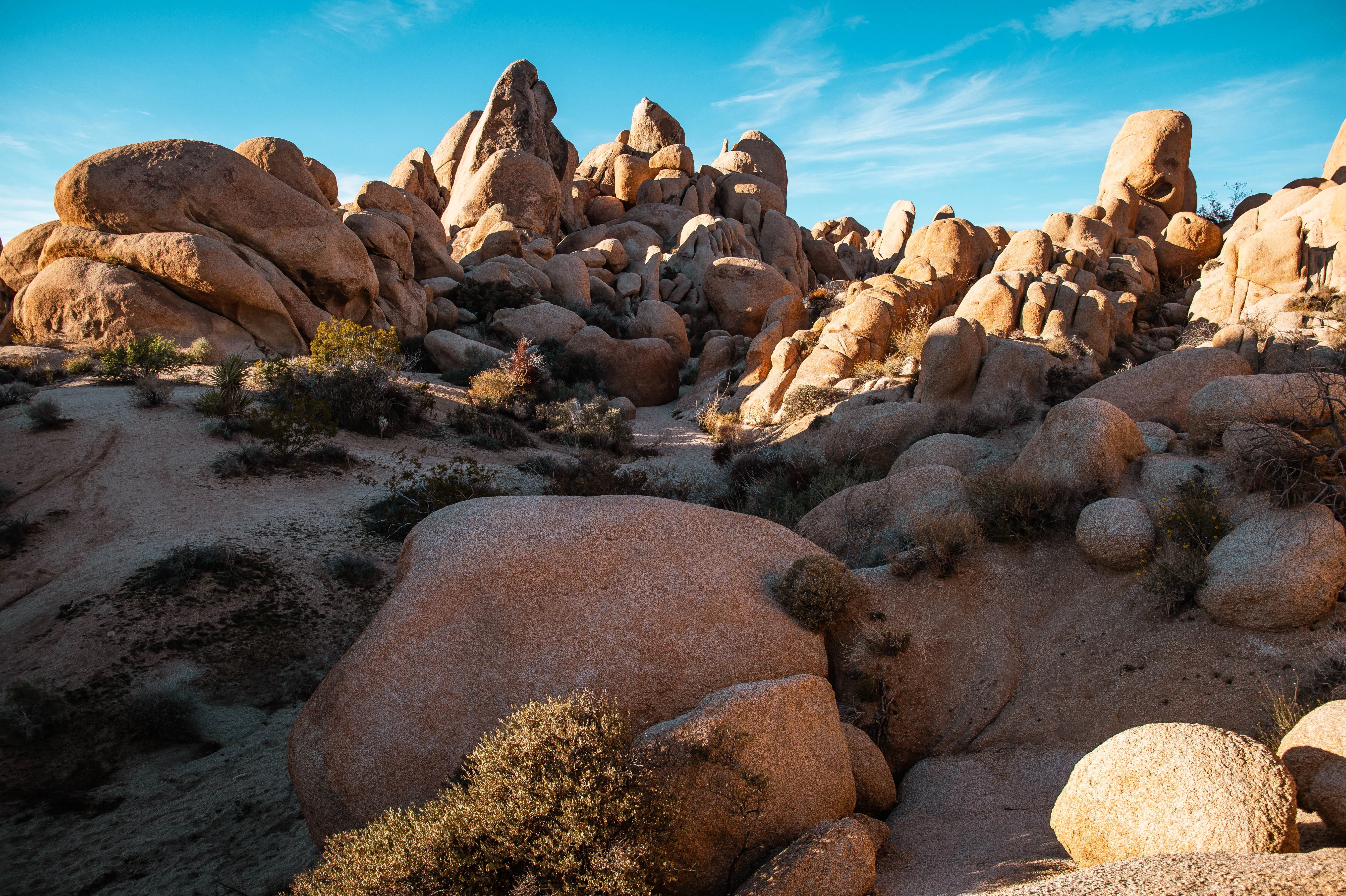 Joshua Tree, California